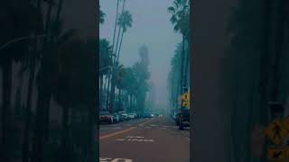 Mysterious Fogg in Oceanside California #mysterious #Fogg #Oceanside #shorts