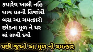 આ વનસ્પતિના મૂળ ઘરમાં રાખવાથી આવશે અઢળક પૈસા | vastu tiips | vastu shastra