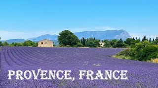 Lavender Dream: Romance from Provence France