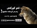 ئه‌و گورگه‌ی به‌سه‌ر گرده‌كه‌ ده‌كه‌وێ خوێندنه‌وه‌ی زانا محمد