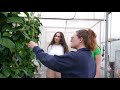 Behind The Scenes At The Butterfly Conservatory