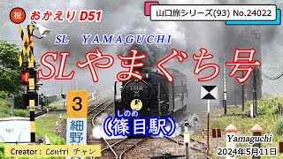 おかえり SLやまぐち号 (篠目駅) 5.11 山口旅シリーズ(93) No.24022