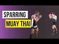 Sparring de Muay Thai - Atletas Luana Vitoria e David Araújo