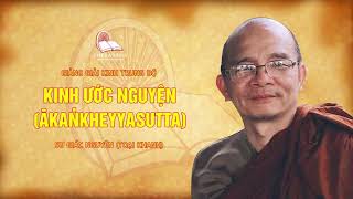 6. Kinh Ước Nguyện (Ākaṅkheyyasutta) | Giảng Giải Kinh Trung Bộ - Sư Giác Nguyên (Toại Khanh)