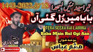 Tera Seena Nai Labda Baba | 10 Muharram | 18 Jeth | 2022-1443 | Noha Khwan - Malik Meesam Abbas .