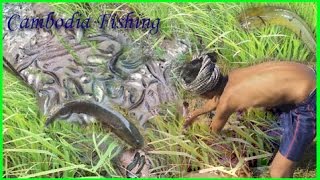 Cambodia fishing-Khmer traditional fishing