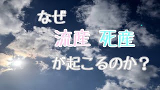 【水子供養①】流産・死産はご先祖様の力？！『華水供』命光不動尊