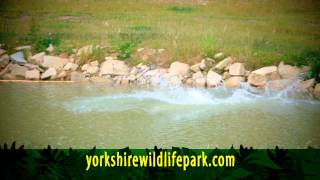 Yorkshire Wildlife Park - TV Advert - Summer 2015