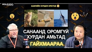 Гайхмаараа хө | 2024-09-03 | Хамгийн хурдан амьтад