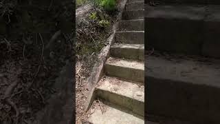 絶景　海の見える神社　和歌山市和歌浦　鏡山