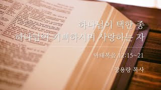 [언약교회] 마태복음 12:15~21