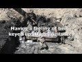 PSYCH 317 PSA Combat-Related PTSD Final