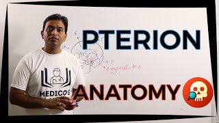 ANA.HNB.016: Pterion | Anatomy | Dr. Prashant Sharma