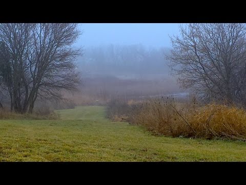 Disc Golf | The Biggest Flaw In Disc Golf Course Design Disc Golf | The Biggest Flaw In Disc Golf Course Design