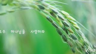 스베덴보리의   \