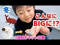 カブトムシ幼虫　りくとくんが1人でマット交換に挑戦　大きくなった幼虫の姿に驚き…!!