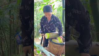 I haven't posted a video of cutting bamboo shoots for a long time. Have you almost forgotten me?