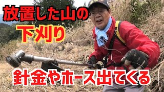 7年間放置した山の下刈り！色んな障害物で上手く刈れない！