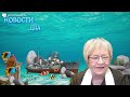 Новости дна. Тайна побега Башара Асада. Пьяный Хинштейн на прямой линии. Спиртное через Госуслуги