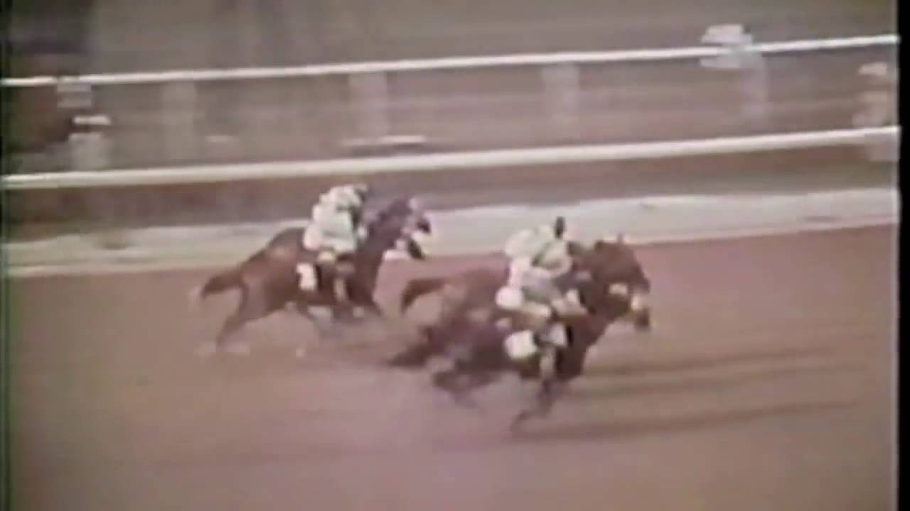 Secretariat Belmont Stakes 1973 Extended Coverage Hd Version New Mp4