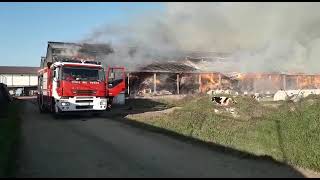 Molti animali morti in incendio in stalla a Stagno Lombardo