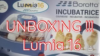 EGG INCUBATOR LUMIA MADE IN ITALY / FIRST IMPRESSION #unboxing