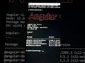 How to check angular CLI version in your PC 🔥 #angular #angularcli #version
