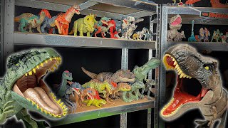 GIANT Jurassic World Dominion Shelf Build  | Giganotosaurus, T-Rex, Atrociraptor & More!