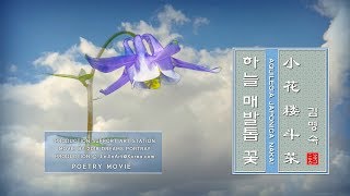 하늘 매발톱 꽃 ㅣ작시:김명숙ㅣ영상:꿈그린