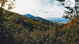 MTB Singletrack Glacensis - Pętla Międzygórze