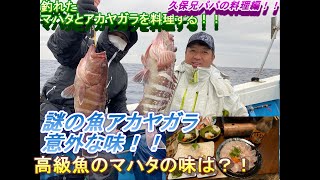 釣れたマハタとアカヤガラを料理する！#三重県#南伊勢#マハタ#アカヤガラ#料理#高級魚