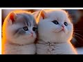 tiny cuties will melt your heart|| they are innocent and funny