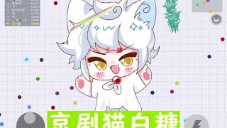 京剧猫白糖皮肤来啦！ #贪吃蛇大作战 #抖音小游戏