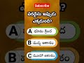 పరదైసు ఎక్కడ ఉంది... bible biblequiz jesus bqp paradise noah