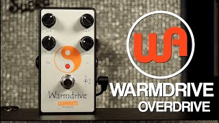 Warm Audio Warmdrive Overdrive