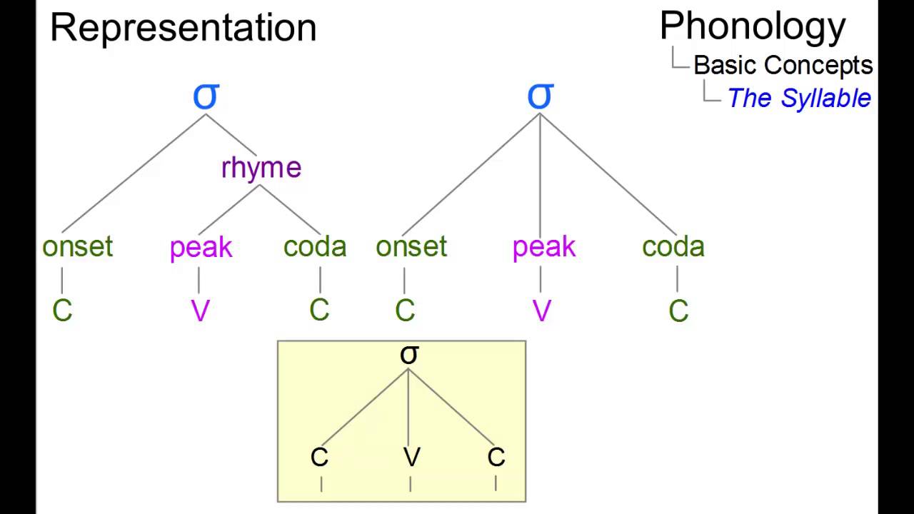 Syllable Structure Examples Processes