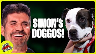Simon Cowell LOVES These Dog Acts!🐶😍