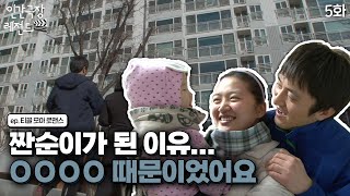 [인간극장 레전드 #184-5] 경희 씨가 짠순이가 된 이유는… 바로 내집마련을 위해서였다!🏠 | 티끌 모아 로맨스(5/5) [KBS 20130311-15 방송]