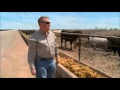 beef industry long range plan