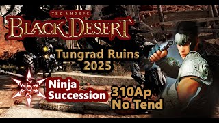 Bdo Tungrad Ruins Ninja Successions Low Ap Fun Grind