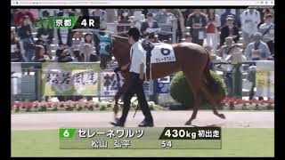 【パドック】 藤岡健一厩舎のワールドウォッチ 中竹和也厩舎のトップソリストは2着 2018年10月21日（日） 4回京都7日 4R メイクデビュー京都 芝 1200m