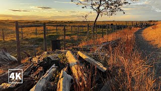 【4K Walk】】A Relaxing Autumn Walk in Vancouver at Sunset, Canada, Nature Sounds