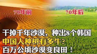 幹掉千年沙漠，種出8個韓國，百萬公頃沙漠變良田！