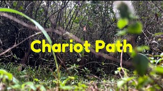 Short Cinematic Clip in Chariot Path - Sri Lanka 🇱🇰