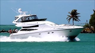 Neptunus 56 Flybridge Yacht | D'AMORE