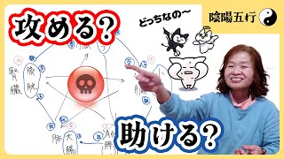 【陰陽五行説 攻める 助ける】内臓が内臓を攻める？助ける？どっちなの～を解説します #東洋医学 #陰陽五行