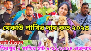 Mirpur 1 Pakhir hat | Cat Price in Bangladesh | Pakhir hat | মেকাও পাখি | মিরপুর ১ পাখির হাট #cat