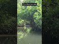 Pichavaram | Mangrove Forest | Boat Ride | Fabulous location | Chithambaram | TamilNadu