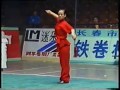 liu qing hua wushu clip