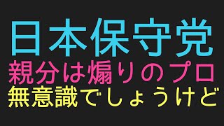 百田さんはやっぱり天才だ！！日本保守党！！